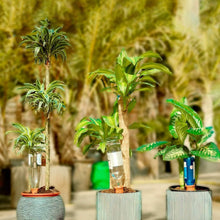 Load image into Gallery viewer, 10-Pack: Spikes Teracotta Plant Watering Device