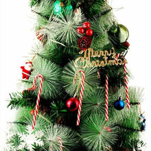 Load image into Gallery viewer, 10-Piece: Plastic Candy Cane Ornaments