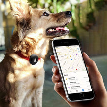 Load image into Gallery viewer, 2-Pack: Air Tag Dog Collar Holder