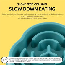Load image into Gallery viewer, 2-Pack: Cat and Dog Slow Food Bowl Slow Food Bowl