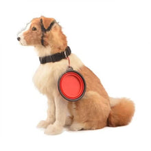 Load image into Gallery viewer, 2-Pack: Collapsible Food Water Travel Bowl
