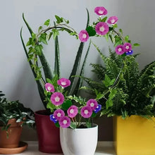 Load image into Gallery viewer, 2-Pack: Heart-Shaped Plant Support Stake
