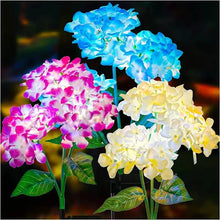 Load image into Gallery viewer, 2-Pack: Hydrangea Solar LED Flower Lights with 3 Heads Outdoor Waterproof Garden Lights