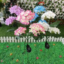Load image into Gallery viewer, 2-Pack: Hydrangea Solar LED Flower Lights with 3 Heads Outdoor Waterproof Garden Lights