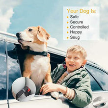 Load image into Gallery viewer, 2-Pack: Multipurpose Pet Safety