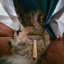 Load image into Gallery viewer, 2-Pack: Pet Hair Remover Brush Manual Lint Roller