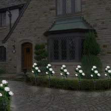 Load image into Gallery viewer, 2-Pack: Solar Powered Rose Flower LED Decorative Lamp