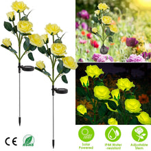 Load image into Gallery viewer, 2-Pack: Solar Powered Rose Flower LED Decorative Lamp