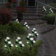 Load image into Gallery viewer, 2-Pack: Solar Powered Rose Flower LED Decorative Lamp