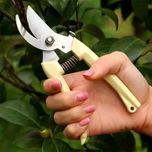 Load image into Gallery viewer, 2-Pack: Stainless Steel Bypass Pruning Shears