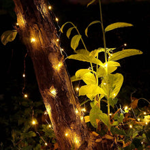 Load image into Gallery viewer, 2-Piece: 100LED Beads String Lights