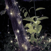 Load image into Gallery viewer, 2-Piece: 100LED Beads String Lights