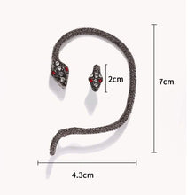 Load image into Gallery viewer, 2-Piece: Snake Design Earrings