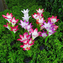 Load image into Gallery viewer, 2-Pieces: Solar Garden Lights Outdoor