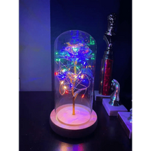 Load image into Gallery viewer, 20 Led Lights Crystal Galaxy Rose in The Glass Dome Gift for Girlfriend - Beauty and The Beast Style Galaxy Rose Flower Gift