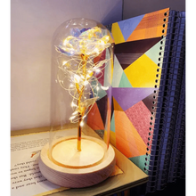 Load image into Gallery viewer, 20 Led Lights Crystal Galaxy Rose in The Glass Dome Gift for Girlfriend - Beauty and The Beast Style Galaxy Rose Flower Gift