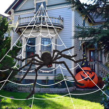 Load image into Gallery viewer, 200" Halloween Spider Web and 59" Giant Spider Decoration