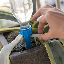 Load image into Gallery viewer, 24-Piece: Plant Watering Spikes Self Watering Device