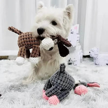 Load image into Gallery viewer, 3-Pack: Interactive Dog Teeth Training Chewing Toy