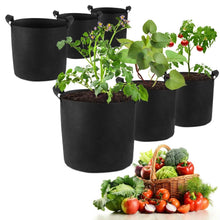 Load image into Gallery viewer, 3-Pack: Planter Bags Breathable Planting Fabric Pots with Harvest Window