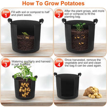 Load image into Gallery viewer, 3-Pack: Planter Bags Breathable Planting Fabric Pots with Harvest Window