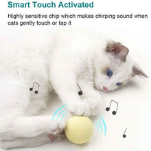 Load image into Gallery viewer, 3-Pack: Realistic Chirping Balls Cat Toys