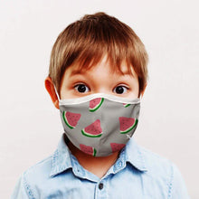 Load image into Gallery viewer, 3-Pack: Two-Layer Reusable Kids Face Mask with Adjustable Earloop