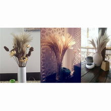 Load image into Gallery viewer, 30/50pcs Bulrush Natural Dried Small Pampas Grass Artificial Decor Wedding Flower Bunch Home Office Floor Vase Filler for Living Room Kitchen And Event Decoration