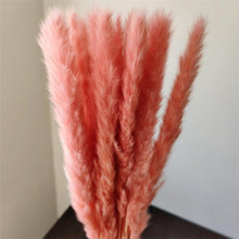 Load image into Gallery viewer, 30Pcs Dried Bulrush Flowers Bouquet Home Wedding Decoration Table Flores Preservadas Pampas Grass Natural Reed Decor for Room