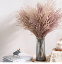 Load image into Gallery viewer, 30pcs Natural Dried Pampas Grass Bouquet Pampas Grass Reeds Flowers Bulrush Bouquets Durable For for Vase Artificial Grass Room Décor Wedding Decorations