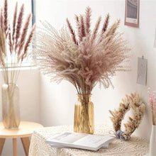Load image into Gallery viewer, 30pcs Natural Dried Pampas Grass Bouquet Pampas Grass Reeds Flowers Bulrush Bouquets Durable For for Vase Artificial Grass Room Décor Wedding Decorations