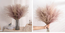 Load image into Gallery viewer, 30pcs Natural Dried Pampas Grass Bouquet Pampas Grass Reeds Flowers Bulrush Bouquets Durable For for Vase Artificial Grass Room Décor Wedding Decorations