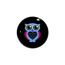 Load image into Gallery viewer, 9/16 Acrylic Heart Owl Saddle Plug