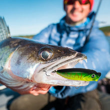 Load image into Gallery viewer, 383-Piece: Fishing Lures Tackle Box