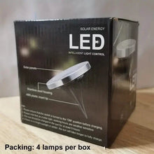 Load image into Gallery viewer, 4-Pack: Waterproof Solar Garden Lights