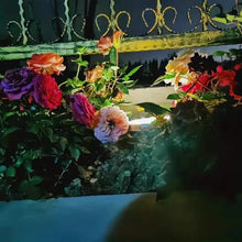 Load image into Gallery viewer, 4-Pack: Waterproof Solar Garden Lights