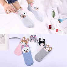 Load image into Gallery viewer, 5 Pairs/Set Women's Cotton Happy Cute Cat Short Socks Print Cartoon Animal Casual Summer Socks Red Heart Funny Ankle Socks Pure Cotton Socks For Men And Women