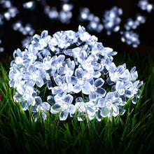 Load image into Gallery viewer, 50 LED Fairy Flower Blossom Solar String Lights