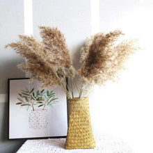 Load image into Gallery viewer, 50Pcs/Bunch 50cm Natural Phragmites Reed Flowers Bulrush Bouquet Big Dried Pampas Grass Wedding Decoration Home Fall Decor