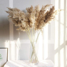 Load image into Gallery viewer, 50Pcs/Bunch 50cm Natural Phragmites Reed Flowers Bulrush Bouquet Big Dried Pampas Grass Wedding Decoration Home Fall Decor