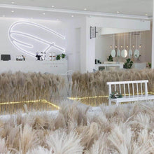 Load image into Gallery viewer, 50Pcs/Bunch 50cm Natural Phragmites Reed Flowers Bulrush Bouquet Big Dried Pampas Grass Wedding Decoration Home Fall Decor