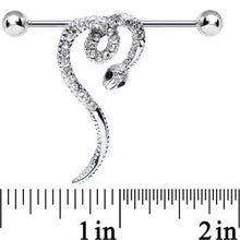 Load image into Gallery viewer, Clear Gem Heart Coiled Snake Industrial Barbell