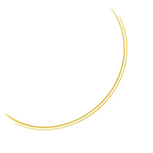 Load image into Gallery viewer, 3.0 mm 14k Two Tone Gold Reversible Omega Necklace