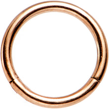 Load image into Gallery viewer, 16G 5/16 Rose Gold Tone Hinged Segment Ring