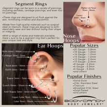 Load image into Gallery viewer, 16G 3/8 Black PVD Hinged Segment Ring