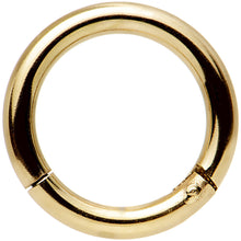 Load image into Gallery viewer, 14G 5/16 Gold Tone Anodized Hinged Segment Ring
