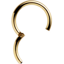 Load image into Gallery viewer, 14G 3/8 Gold Tone Anodized Hinged Segment Ring