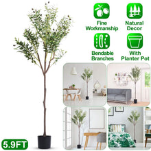 Load image into Gallery viewer, 5.9ft Artificial Olive Tree with Lush Olive Branches and Fruits with Black Planter Pot