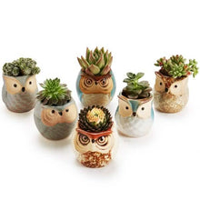 Load image into Gallery viewer, 6-Pack: 2.5 Inch Owl Pot Ceramic Base