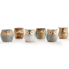 Load image into Gallery viewer, 6-Pack: 2.5 Inch Owl Pot Ceramic Base